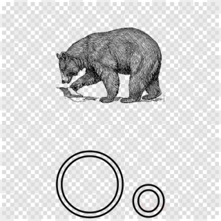 Black Bear Drawing Clipart American Black Bear Giant, HD Png Download