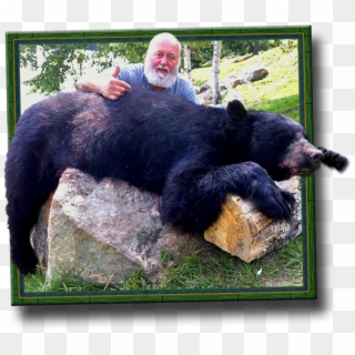 Ontario Black Bear Hunting Bow/archery Crossbow Hunts - Ontario Bear Hunting Regions, HD Png Download