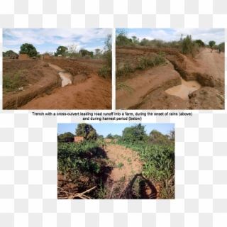 In Mbitini, Kitui County, Road Runoff Harvesting Is - Agriculture, HD Png Download