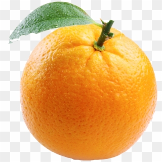 Orange Free Png Image - Fruit With White Background, Transparent Png