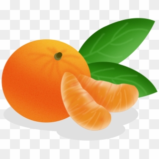 Cartoon Hand Drawn Fruit Food Png And Psd - Tangerine, Transparent Png