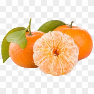 Oranges - 감귤 Png, Transparent Png