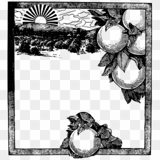 This Free Icons Png Design Of Oranges Frame, Transparent Png