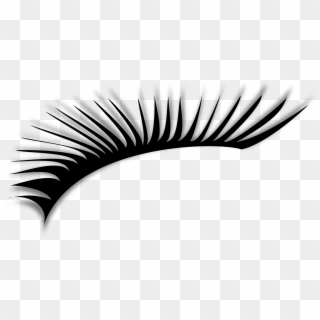 Eye Lashes Png, Transparent Png