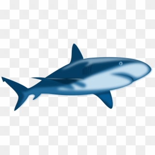 2400 X 1064 11 - Great White Shark Cartoon, HD Png Download