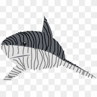 Tiger Shark Drawing Line Art Great White Shark - Tiger Shark Clipart, HD Png Download