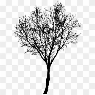Free Download - Silhouette Tree Png, Transparent Png