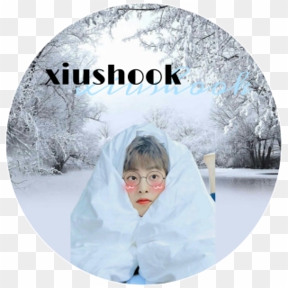Transparent Exo Chen Png - Winter Woods Background, Png Download
