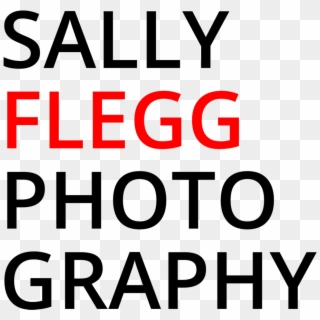 Sally Flegg Photography - Circle, HD Png Download