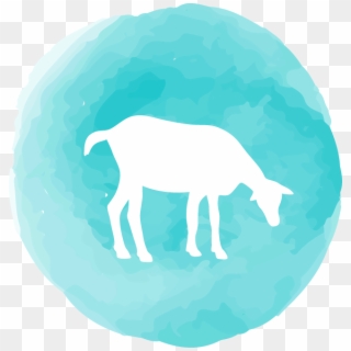 Goat Yoga Tampa Icon - Illustration, HD Png Download