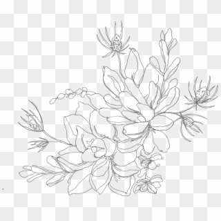 Succulant, HD Png Download