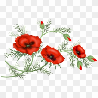 Transparent Poppies Flowers Clipart - Corn Poppy, HD Png Download