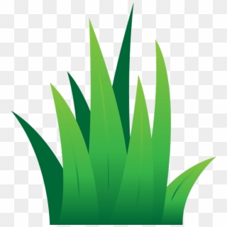 Grass Lawn Clipart Leaves Green Transparent Png - Cartoon Grass Vector Png, Png Download