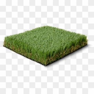 Lawn, HD Png Download