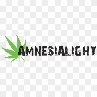 Amnesia Light - Kitesurf, HD Png Download