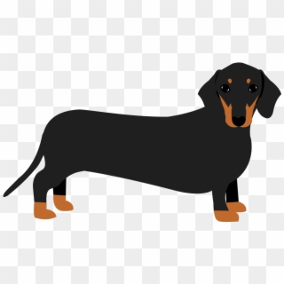 Dachshund Puppy Dog Breed Mug Sophisticated Pup - Sausage Dog Clipart, HD Png Download
