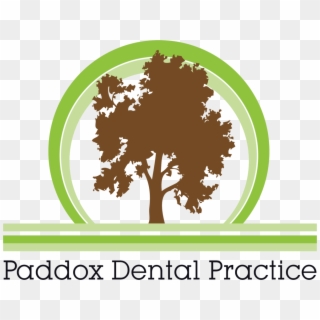 Paddoxlogo - Registered Dental Nurse, HD Png Download