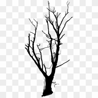 Tree Drawing Branch Clip Art - Dead Tree Line Art, HD Png Download