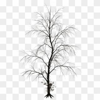 Transparent Dead Tree Png - Haunted Tree Black And White, Png Download