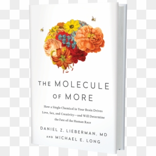Picture - Molecule Of More, HD Png Download