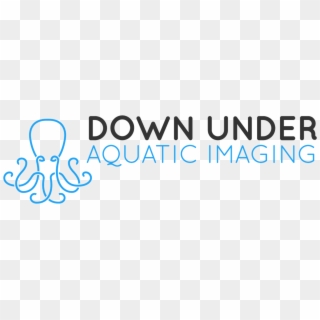 Down Under Aquatic Imaging - Calligraphy, HD Png Download