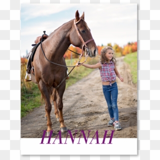 Photo Birthday Thank You Card - Stallion, HD Png Download