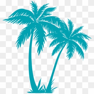 Transparent Palm Tree Plan Png - Palm Tree Vector Png, Png Download