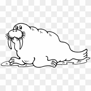 Clip Art - Walrus Clipart Black And White, HD Png Download