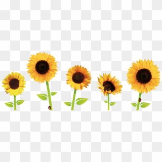 Sunflowers Tumblr Png Clipart , Png Download - Transparent Background Sunflower Clipart, Png Download