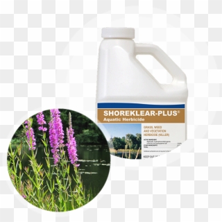 Shoreklear-plus Aquatic Herbicide Container Next To - Red Clover, HD Png Download