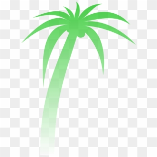 Palm Palmera Degradado Verde Tropicales Árbol - Palm Tree Clip Art, HD Png Download