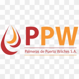 Palmeras De Puerto Wilches, HD Png Download