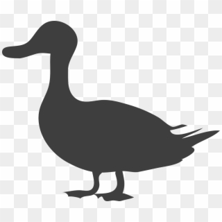 Duck Silhouette, HD Png Download