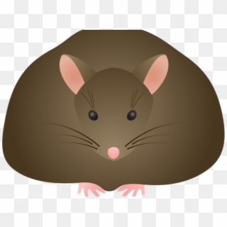 Rat Clipart Field Mouse - Cartoon, HD Png Download
