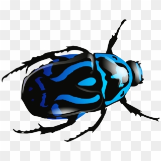 Blue Beetle Png Image - Blue Bug No Background, Transparent Png