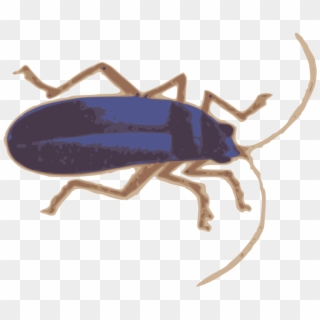Bug Clipart Blue, HD Png Download