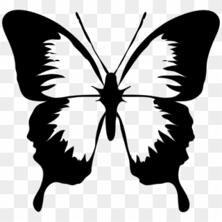 Papillon N B Image - Butterfly Clip Art, HD Png Download