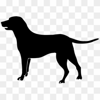 Labrador Retriever Puppy Poodle Golden Retriever Havanese - Black Dog Clipart Png, Transparent Png
