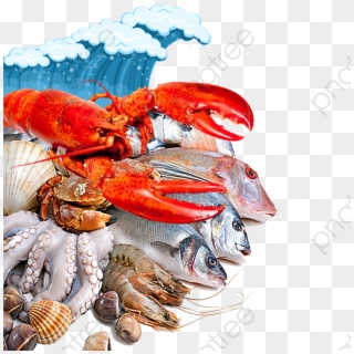 Free Png Of Different Types Of Food - Seafood In Vizag, Transparent Png