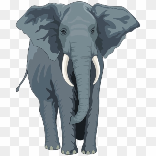 Free Animal Picture - Elephant Clipart Front, HD Png Download