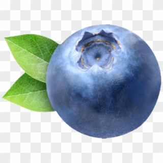 Blueberry Png Clipart - Transparent Blueberry, Png Download
