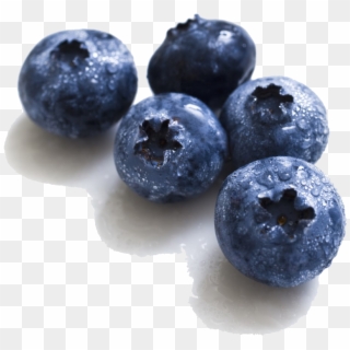 Blueberries Png Image - Blueberry Png, Transparent Png