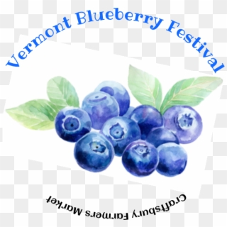 2019 Vermont Blueberry Festival - Huckleberry, HD Png Download