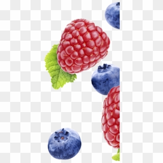 Fynbo Hindbaer Blaabaer Raspberry Blueberry Højre - Frutti Di Bosco, HD Png Download