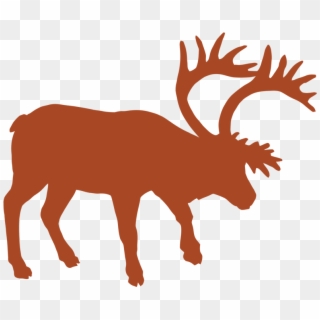 Animal Track Vector Graphics Muskox Reindeer - Silhouette, HD Png Download