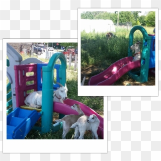 Picture - Playground Slide, HD Png Download