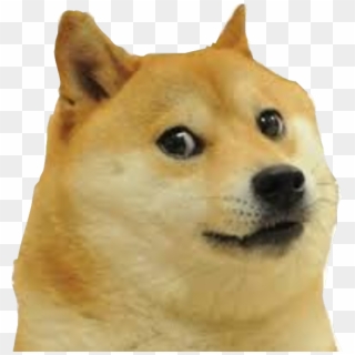 Mlg Doge Png - Meme Dog Face Png, Transparent Png