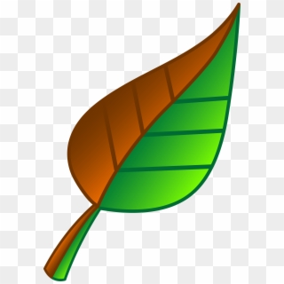 Leaf Green Clip Art - Clipart Leaf, HD Png Download