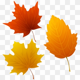 Transparent Leaf Clipart - Autumn Leaves Clipart, HD Png Download