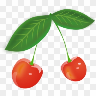 This Free Clip Arts Design Of Cherry Png- - Cherry Leaves Clipart, Transparent Png